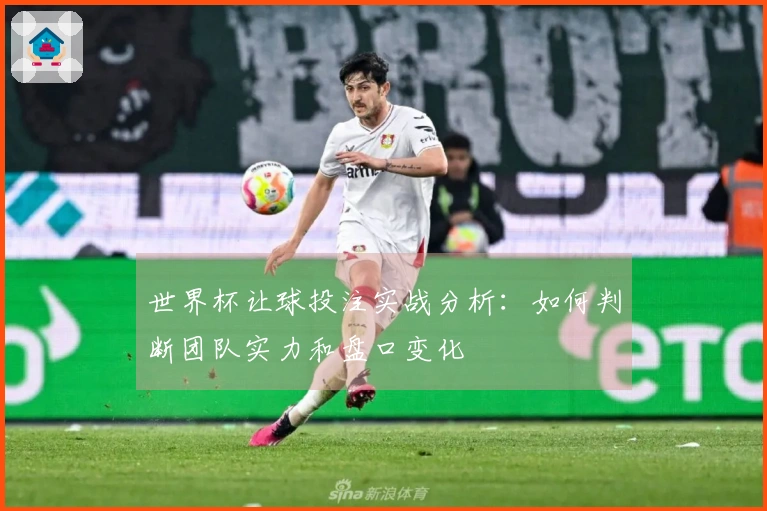 世界杯让球投注实战分析：如何判断团队实力和盘口变化