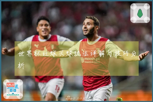 世界杯让球买球玩法详解与技巧分析