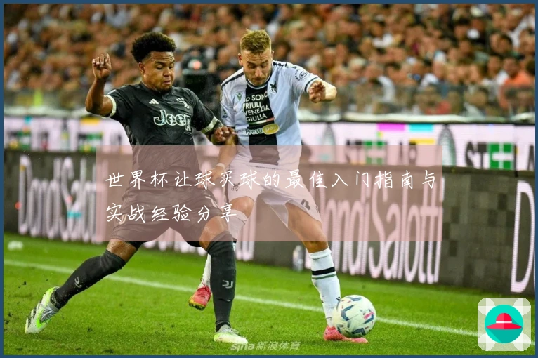 世界杯让球买球的最佳入门指南与实战经验分享