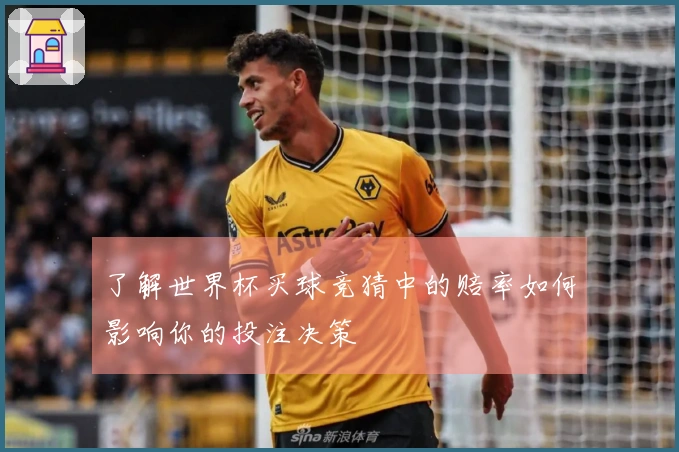 了解世界杯买球竞猜中的赔率如何影响你的投注决策