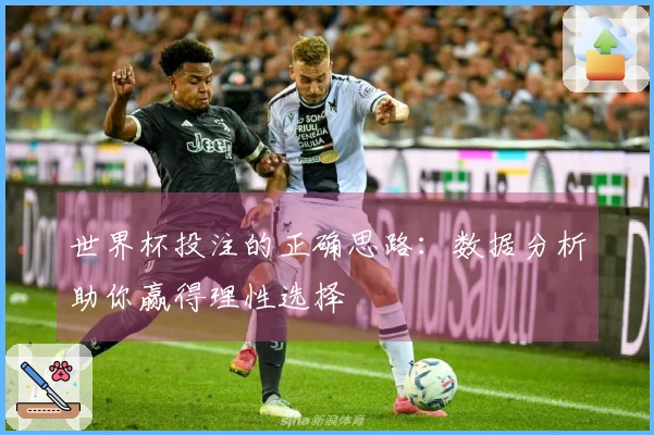 世界杯投注的正确思路：数据分析助你赢得理性选择