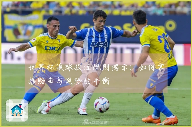 世界杯滚球投注规则揭示：如何掌握赔率与风险的平衡