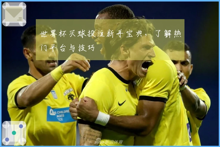 世界杯买球投注新手宝典，了解热门平台与技巧