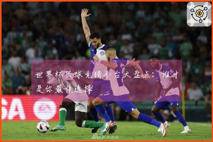 世界杯买球竞猜平台大盘点：谁才是你最佳选择
