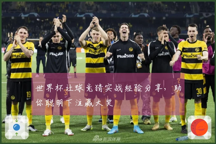世界杯让球竞猜实战经验分享，助你聪明下注赢大奖