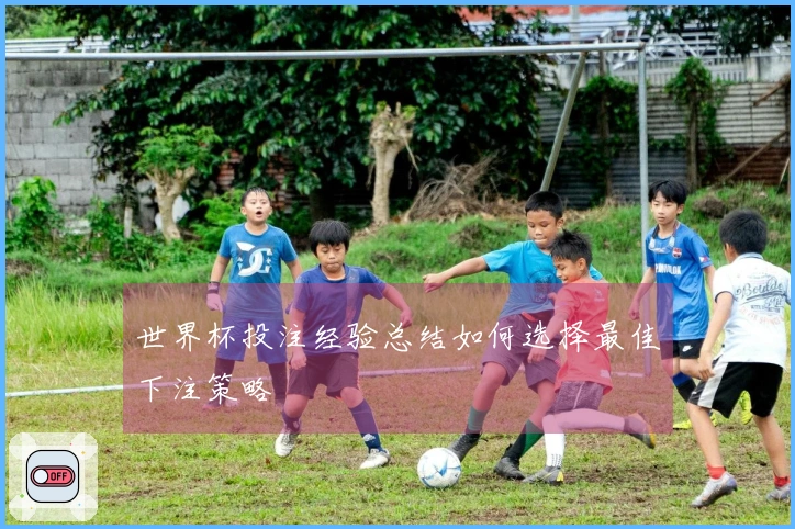 世界杯投注经验总结如何选择最佳下注策略
